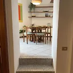 Accademia Paradise